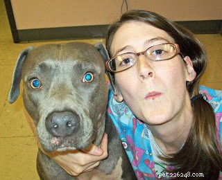 10 Inspiring Moments from My 5-Year Vet Tech Career