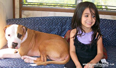 Choosing the Right Pets for Your Kids: A Guide to Safe and Loving Companions