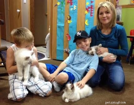 Ragdoll Cats & Kids: A Perfect Match for Families
