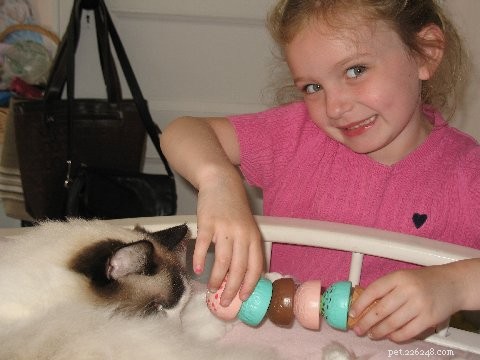Ragdoll Cats: Ideal Gentle Companions for Children