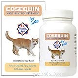 How to Give Your Cat a Pill: Simple, Stress‑Free Techniques
