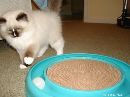 Bergan Turbo Scratcher – Classic Cat Toy for Endless Play