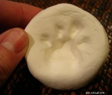 Personalized Pet Paw Print Jewelry – Custom Metal Keepsakes