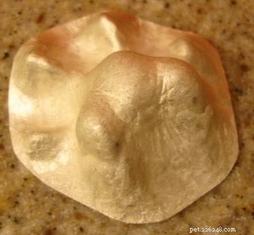 Personalized Pet Paw Print Jewelry – Custom Metal Keepsakes