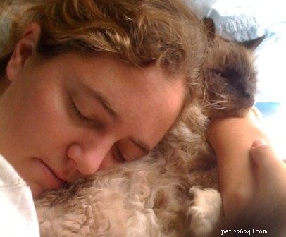 A Heartfelt Tribute to My Cat Rags
