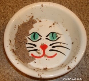 Expert Guide to Kidney Disease Cat Food: Safe Diets for Your Feline
