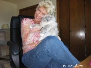 Silia & Sophie: The Gentle Ragdolls That Captured Our Hearts