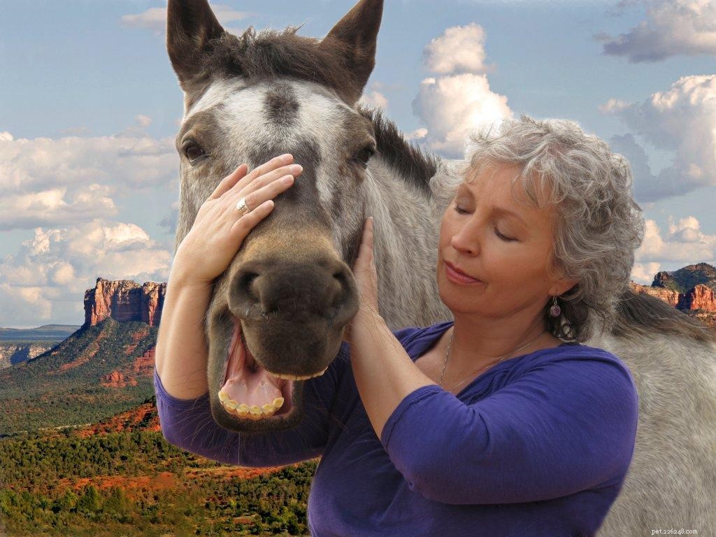 Expert Insights: Lynn McKenzie, Renowned Animal Communicator, Shares Her Journey & Services