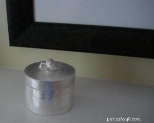 Creating a Memorial Box for Rags – Part Two