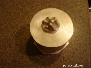 Creating a Memorial Box for Rags – Part Two