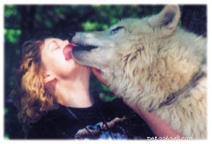 Expert Interview: Karen Craft, Renowned Pet Communicator, Shares Insights