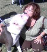 Insights from Lisa Shaw: A 20-Year Expert in Animal Communication