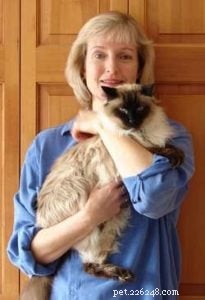 Gary & Minou: Our Journey with a Premier Ragdoll Breeder