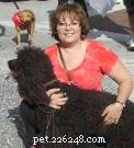 Insights from Lisa Shaw: A 20-Year Expert in Animal Communication