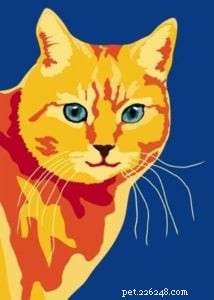 Interview: Sebastiano Ranchetti – Creator Behind Animals in Color on Etsy