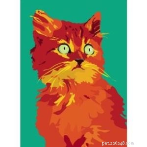 Interview: Sebastiano Ranchetti – Creator Behind Animals in Color on Etsy