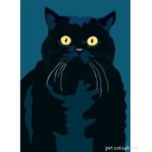 Interview: Sebastiano Ranchetti – Creator Behind Animals in Color on Etsy
