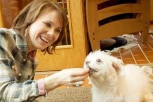 Interview with Pet Communicator Asia Voight: Unlocking Animal Communication