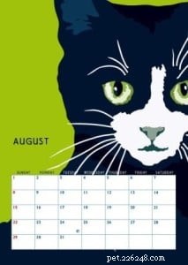 Interview: Sebastiano Ranchetti – Creator Behind Animals in Color on Etsy