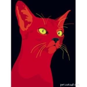 Interview: Sebastiano Ranchetti – Creator Behind Animals in Color on Etsy