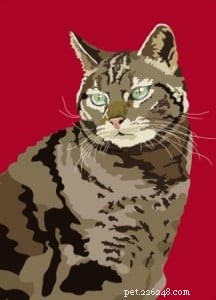 Interview: Sebastiano Ranchetti – Creator Behind Animals in Color on Etsy