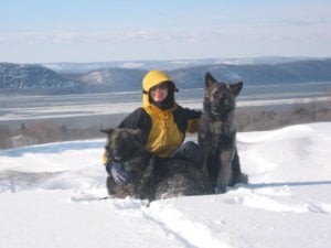 Insights from Pet Communicator Cathy Wells: Expert Answers on Animal Communication