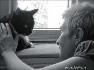 Eileen Garfinkel: Insights from a New York Pet Communicator