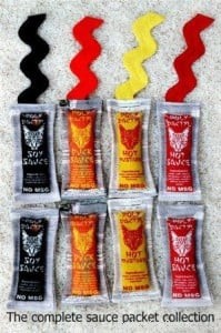 Interview with Randi Warhol: The Creative Force Behind Polydactyl Cat Toys