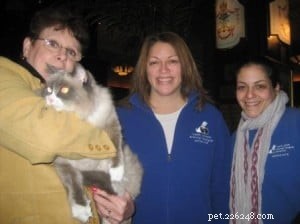 Meet Matilda III: The New Ragdoll Royalty of The Algonquin Hotel
