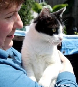 Homeopathy Expert Kim Rockshaw Shares Insights: An Exclusive Interview
