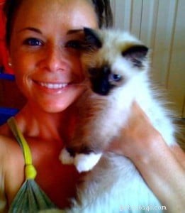 Meet Hank: The Adorable Ragdoll Cat Featured This Week