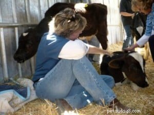 Dana Miller Coburn: Expert Animal Communicator Shares Insights on Pet Communication