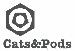 Inside the Creative Process: Victor Margevich of Cats & Pods on Designing Cat Furniture