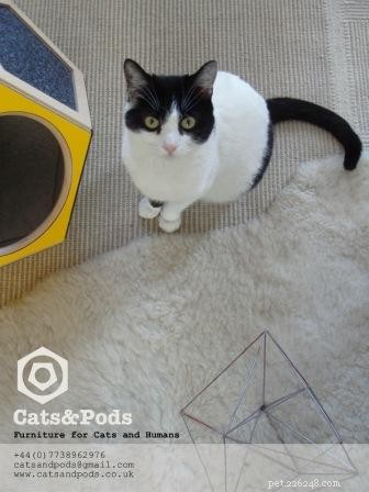 Inside the Creative Process: Victor Margevich of Cats & Pods on Designing Cat Furniture