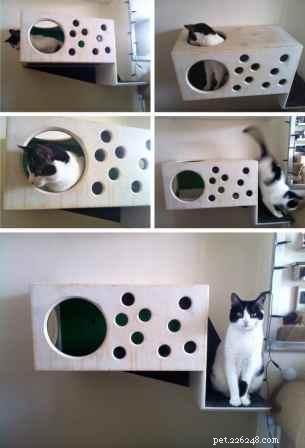 Inside the Creative Process: Victor Margevich of Cats & Pods on Designing Cat Furniture