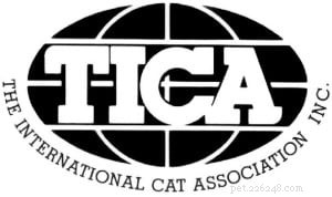 Exclusive Interview with Vickie Fisher, President of The International Cat Association (TICA)