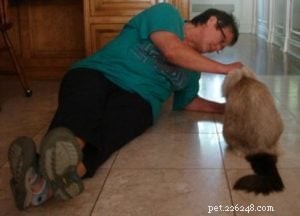When Cats Pee Everywhere: The Unexpected Redecorating Project of Caymus & Murphy Dean