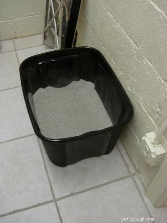 When Cats Pee Everywhere: The Unexpected Redecorating Project of Caymus & Murphy Dean