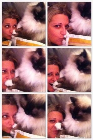Mooshu: The Ragdoll Cat Who Became a Family Treasure