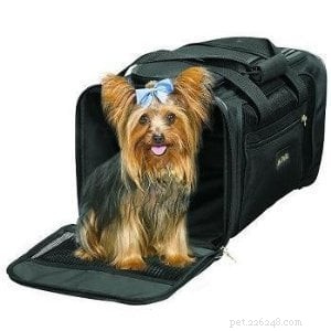 Premium Travel Pet Carriers for Cats: Safe & Comfortable Cabin Transport
