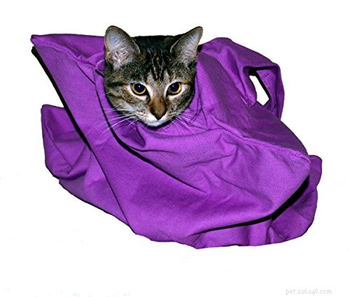 Premium Travel Pet Carriers for Cats: Safe & Comfortable Cabin Transport