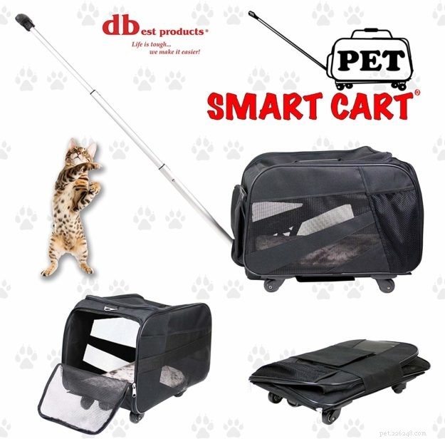 Premium Travel Pet Carriers for Cats: Safe & Comfortable Cabin Transport