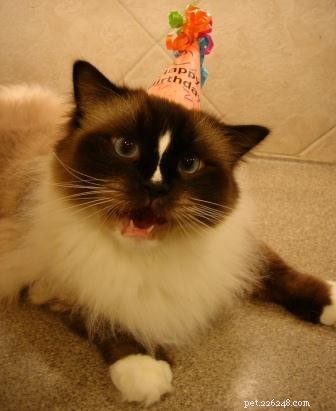 Celebrating Charlie’s 3rd Birthday: A Joyful Milestone