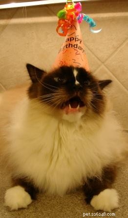 Celebrating Charlie’s 3rd Birthday: A Joyful Milestone