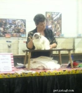 Alex the Ragdoll: Monthly Spotlight on a Beloved Kitten