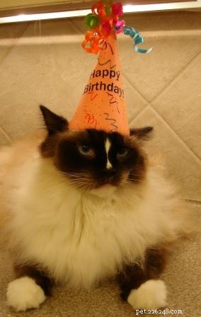 Celebrating Charlie’s 3rd Birthday: A Joyful Milestone
