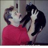 Curt Gehm: Insights from Liebling Cats and RagaMuffin Breed Founder