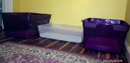 Why Does My Cat Poop Outside the Litter Box? Understanding & Fixing the Problem