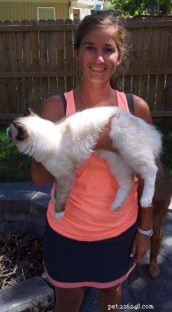 Safe & Gentle Ways to Hold Your New Kitten