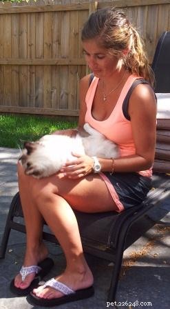 Safe & Gentle Ways to Hold Your New Kitten